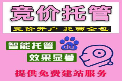 百度推广运营实战技巧：案例解析与实战